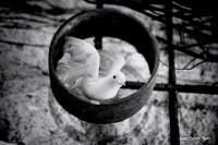 /album/fotogaleria-girona/a95-640x480-jpg/